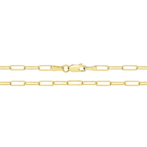 9ct Yellow Gold 10 Inch Paperclip Anklet - E Bixby Jewellers
