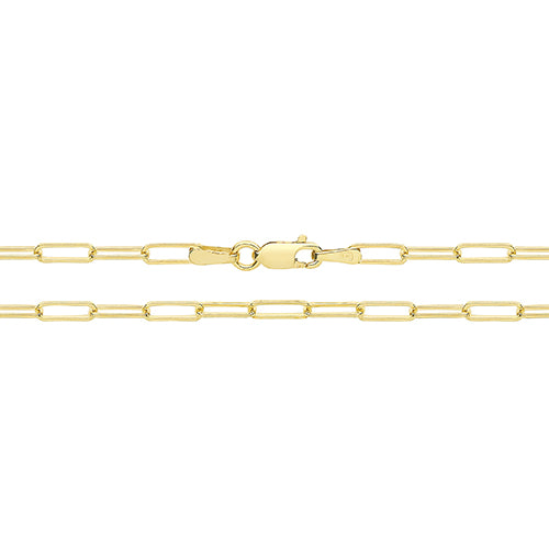 9ct Yellow Gold 10 Inch Paperclip Anklet - E Bixby Jewellers