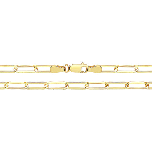 9ct Yellow Gold 10 Inch Paperclip Anklet - E Bixby Jewellers