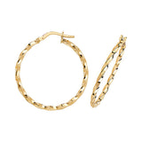 9ct Yellow Gold Hoop Earrings - E Bixby Jewellers