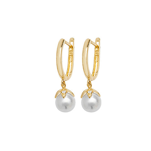 9ct Yellow Gold Drop Earrings - E Bixby Jewellers
