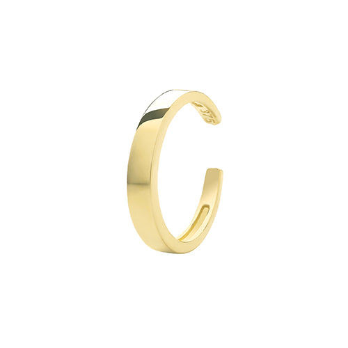 9ct Yellow Gold Ear - E Bixby Jewellers