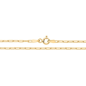 Yellow Gold on Silver Paper Clip Anklet